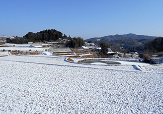 DSCN0013.jpg