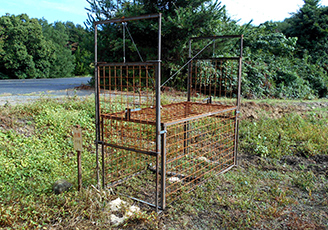 DSCN0100.jpg