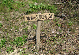 IMG_1182.jpg