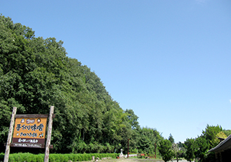 IMG_1526.jpg