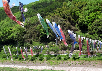 R0010415.jpg